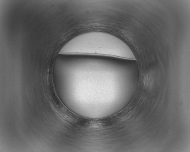 X0000076390263200610060911