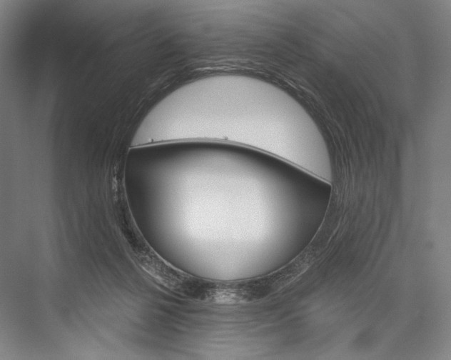 X0000076390264200610060911