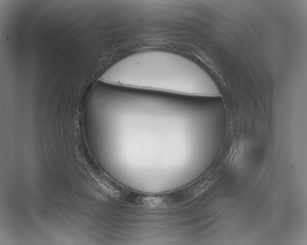 X0000076390265200610060911