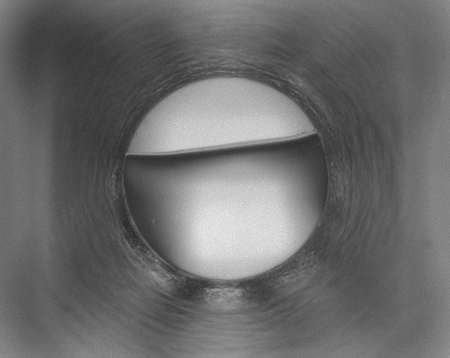 X0000076390266200610060911