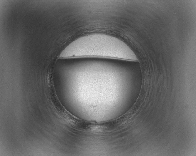 X0000076390268200610060911