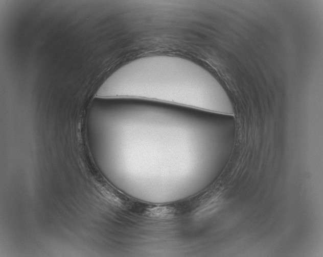 X0000076390269200610060911