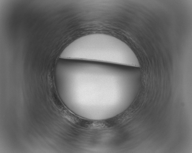 X0000076390270200610060911