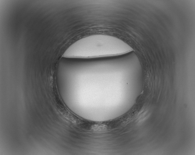 X0000076390271200610060911