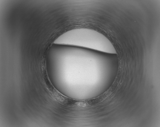 X0000076390272200610060911