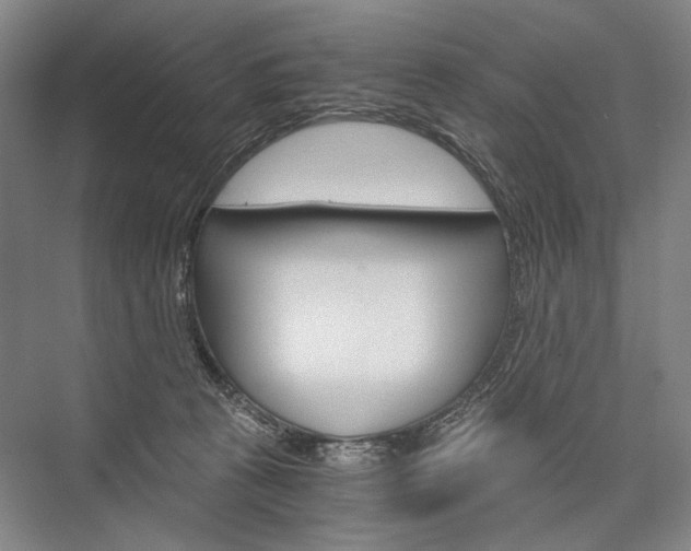 X0000076390273200610060911