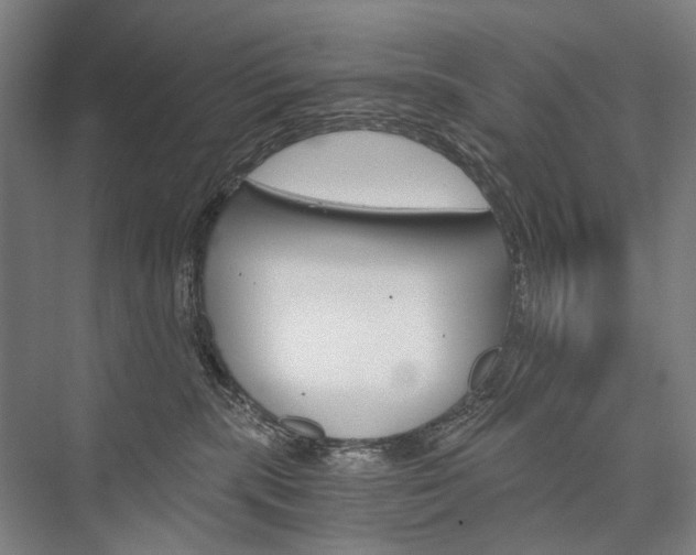 X0000076390283200610060911