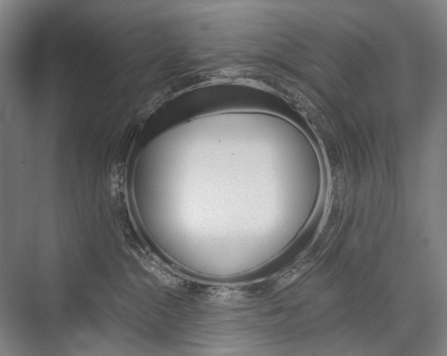X0000076390284200610060911