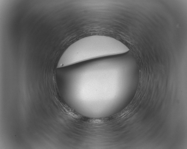 X0000076390287200610060912