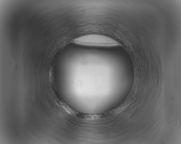 X0000076390288200610060912