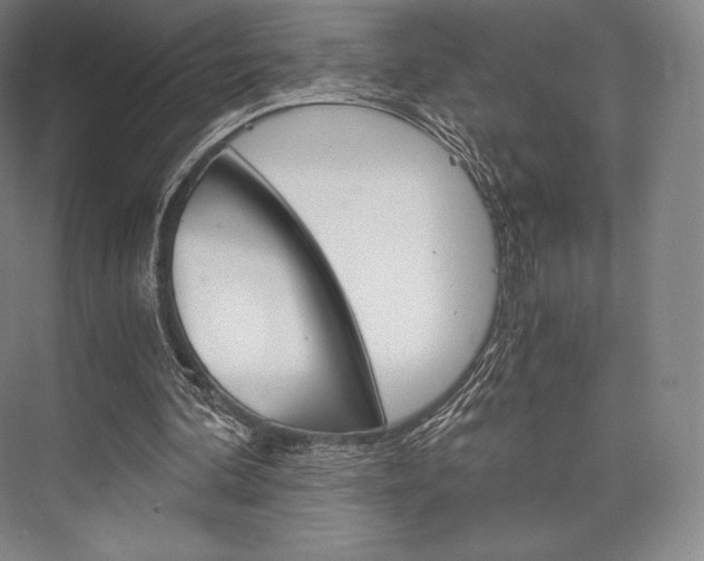 X0000076390292200610060911