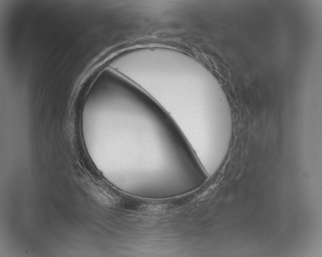 X0000076390295200610060911