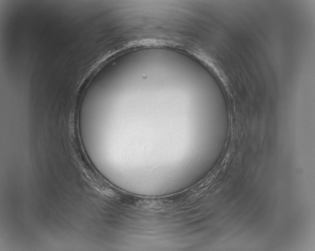 X0000076390297200610060911