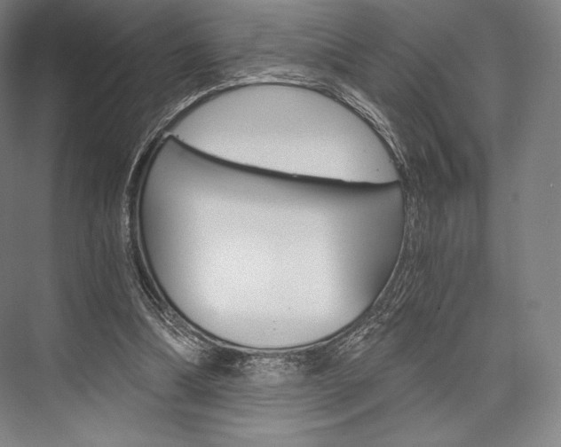X0000076390298200610060911