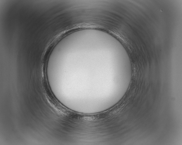 X0000076390302200610060911