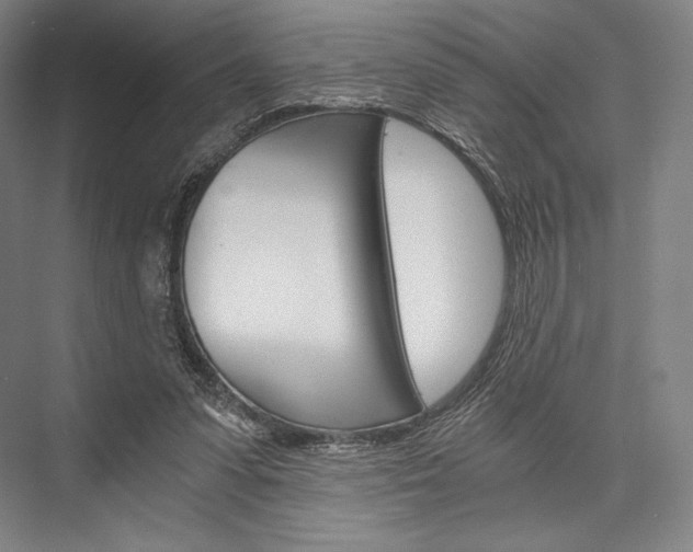 X0000076390303200610060911