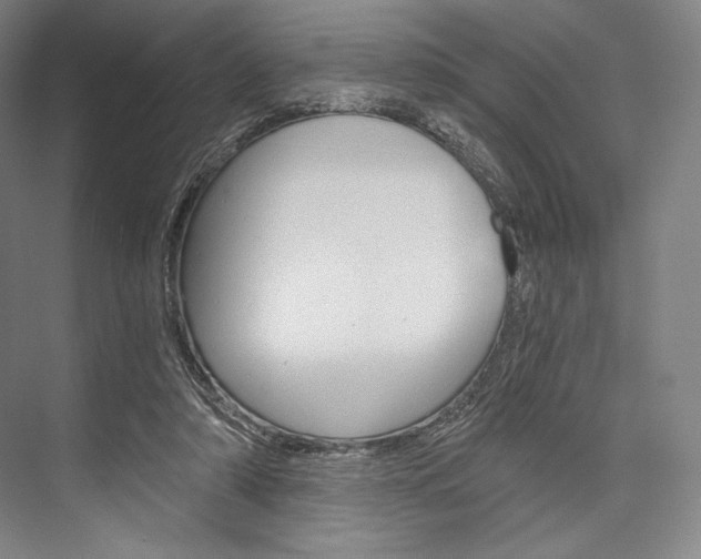 X0000076390306200610060910