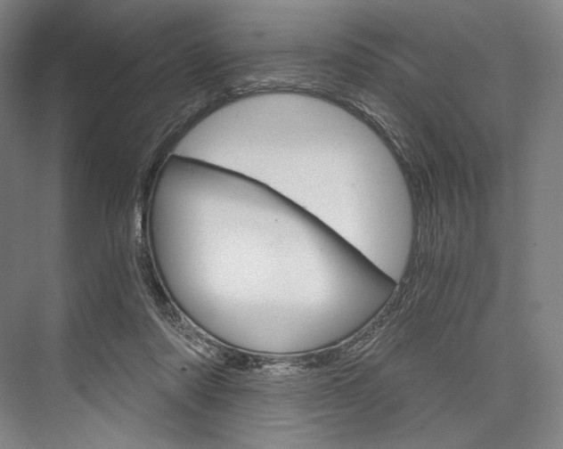 X0000076390310200610060910