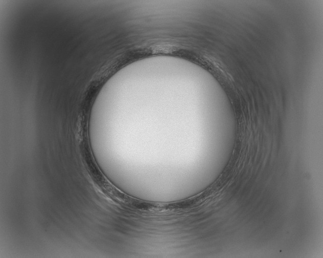 X0000076390311200610060910