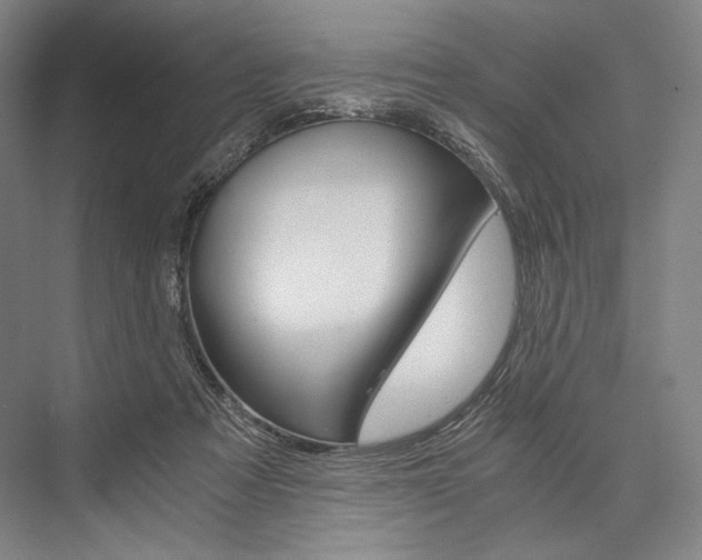 X0000076390313200610060910