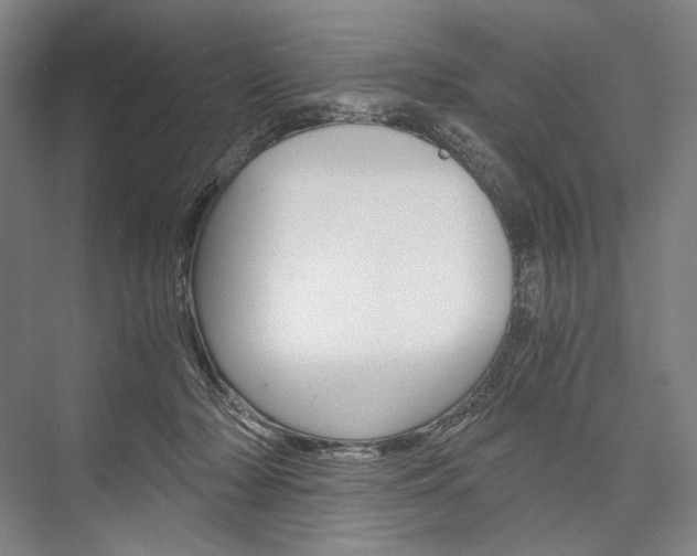 X0000076390318200610060910