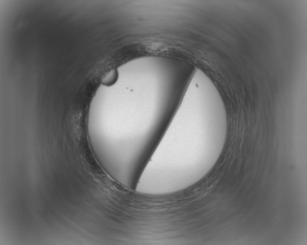 X0000076390319200610060910