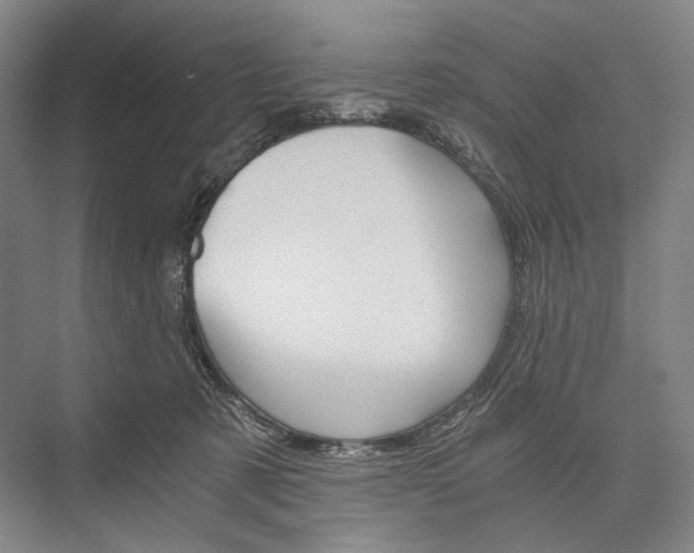 X0000076390321200610060910