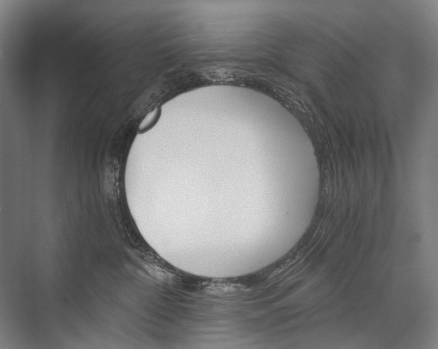 X0000076390332200610060910