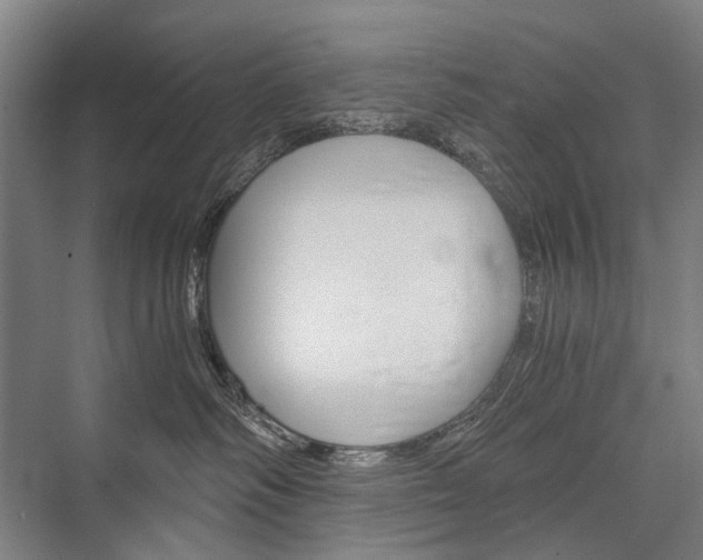 X0000076390334200610060910