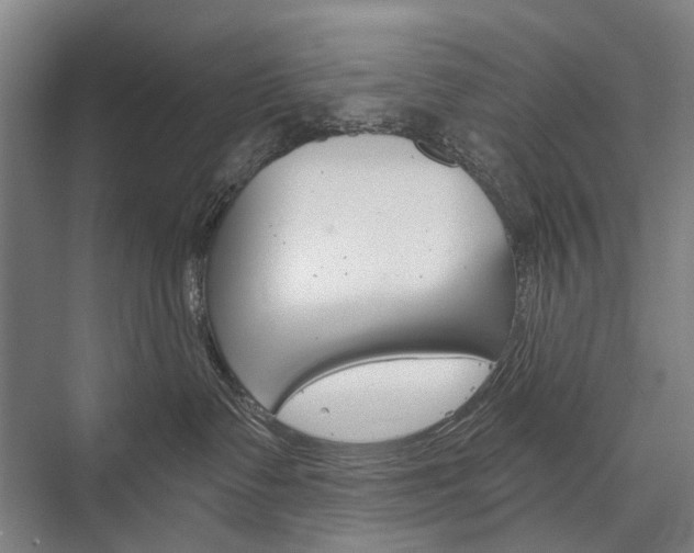 X0000076390335200610060910