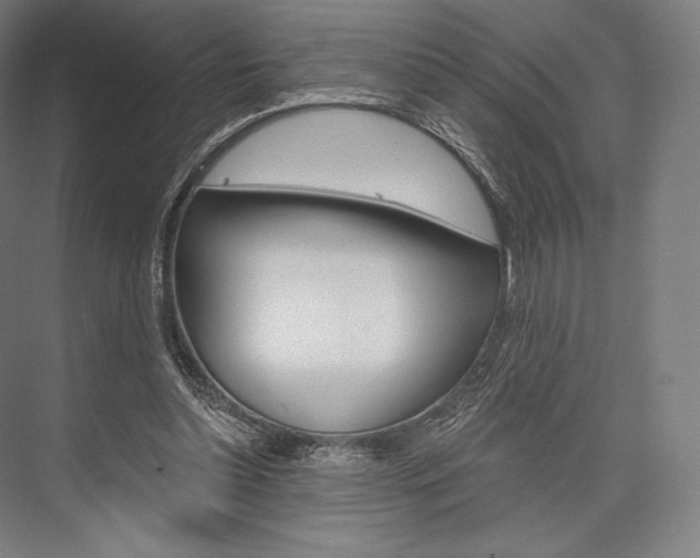 X0000076390348200610060909