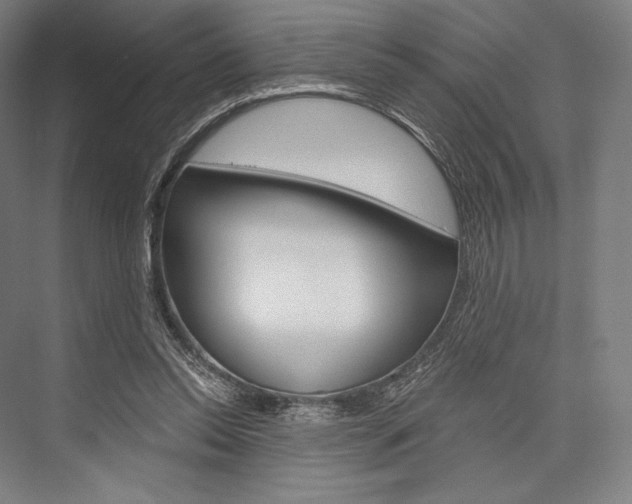 X0000076390350200610060909