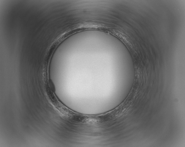 X0000076390352200610060909