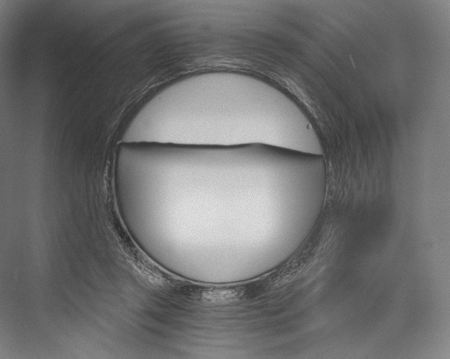X0000076390357200610060909