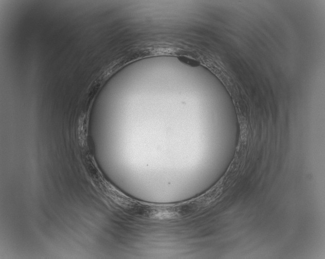 X0000076390360200610060910