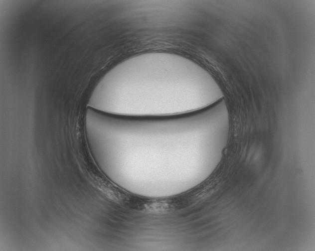 X0000076390362200610060910