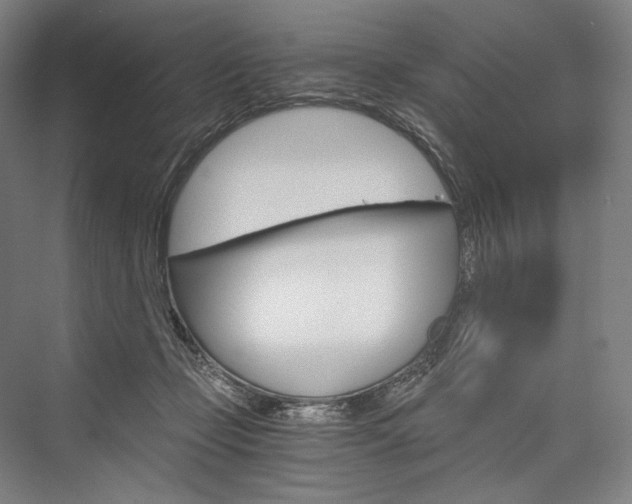 X0000076390365200610060910