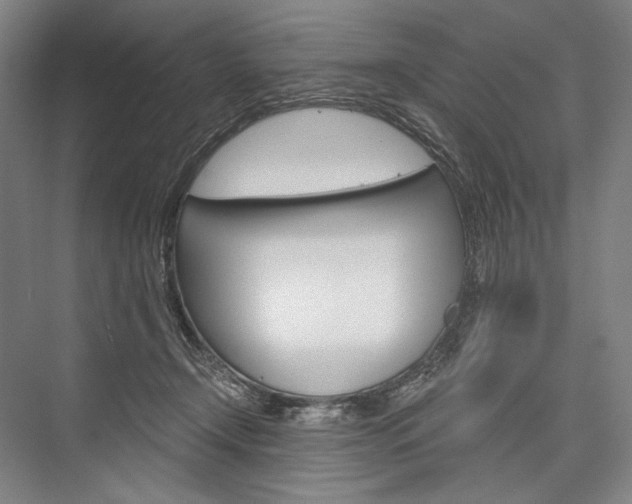 X0000076390366200610060910