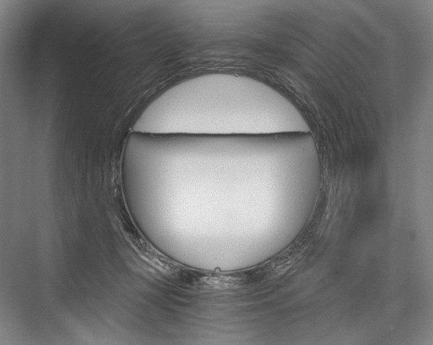 X0000076390367200610060910