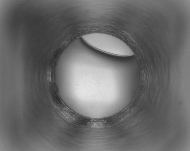 X0000076390368200610060910