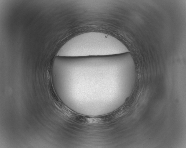 X0000076390371200610060910
