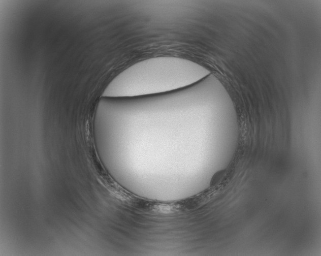 X0000076390375200610060910