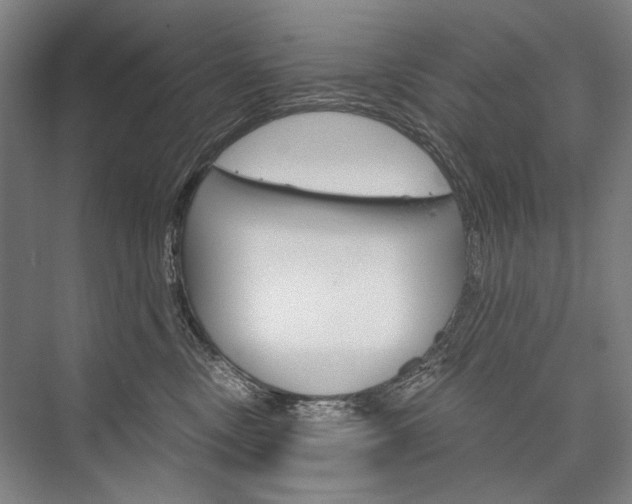 X0000076390378200610060910