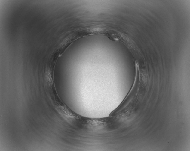 X0000076390380200610060910