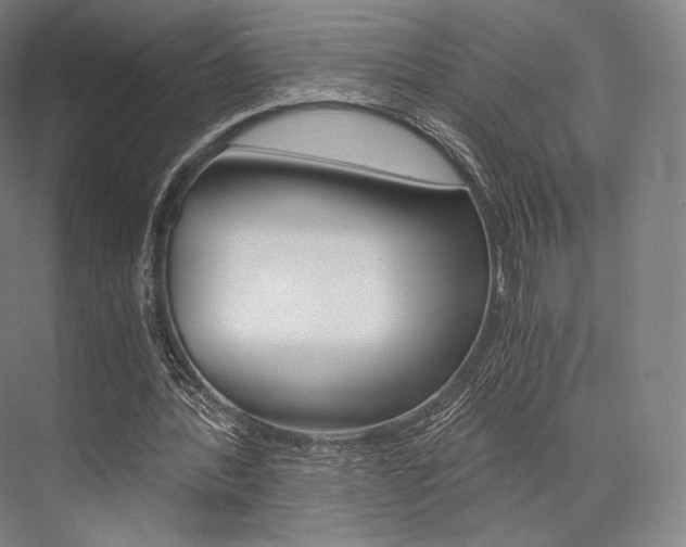 X0000076390388200610060909