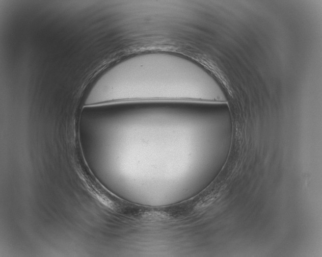 X0000076390397200610060909