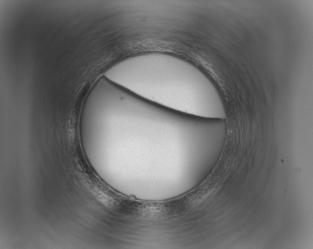 X0000076390402200610060909