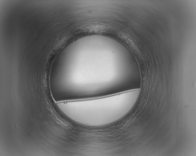 X0000076390403200610060909