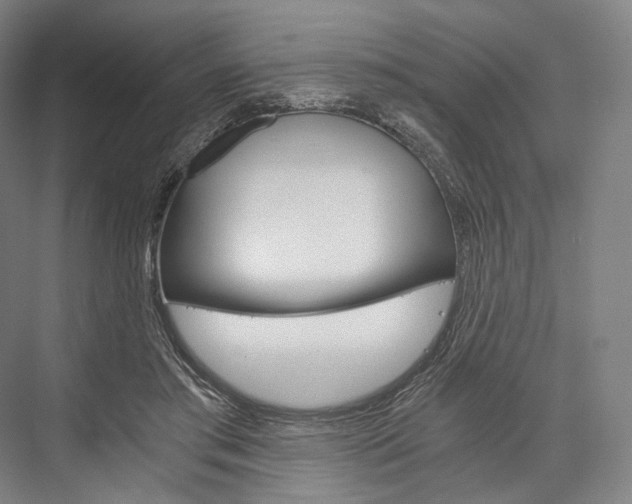 X0000076390405200610060909