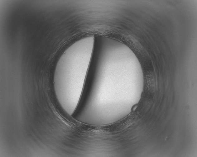 X0000076390408200610060909